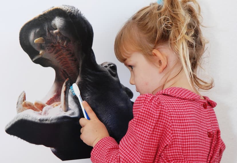 Alimentation et santé dentaire