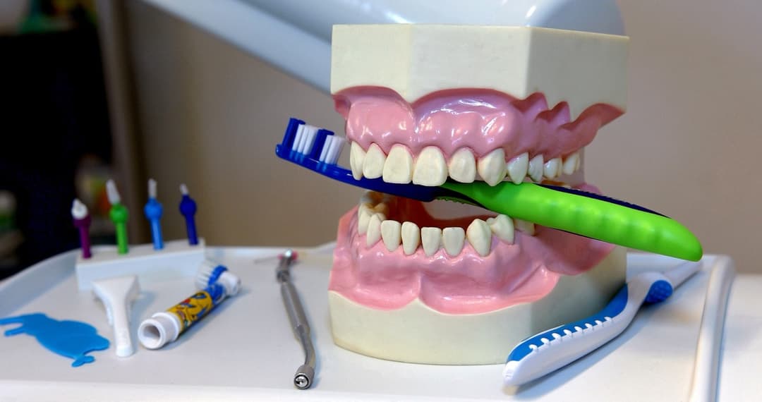 Les gencives qui saignent: faut-il s'inquiéter?