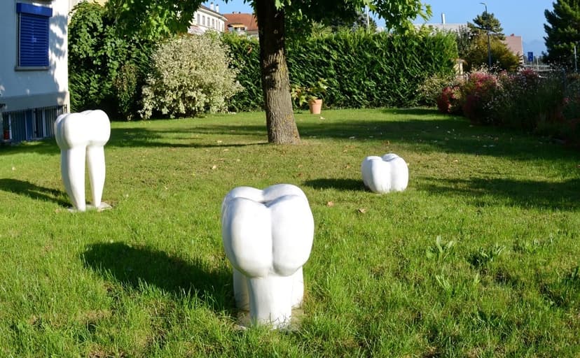 Formation de nos dents